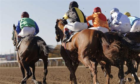 exacta key box|exacta box in horse racing.